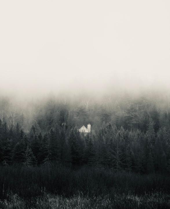 A small house with a chimney is nestled among a dense forest of trees, partially obscured by fog.