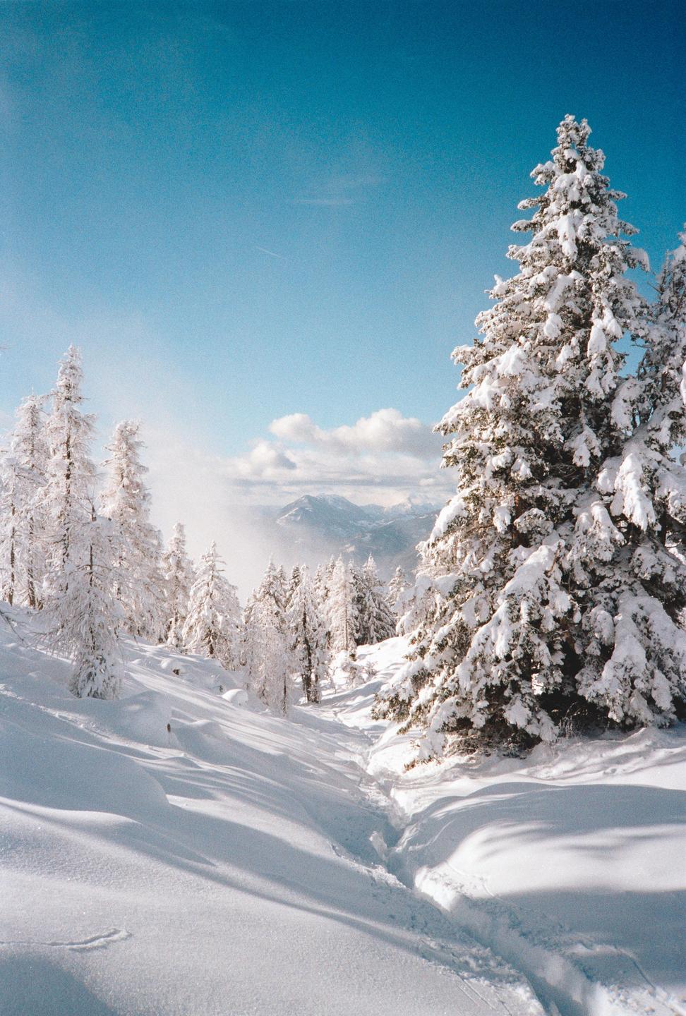 A snowy mountain landscape features a path through snow-covered trees under a bright blue sky.