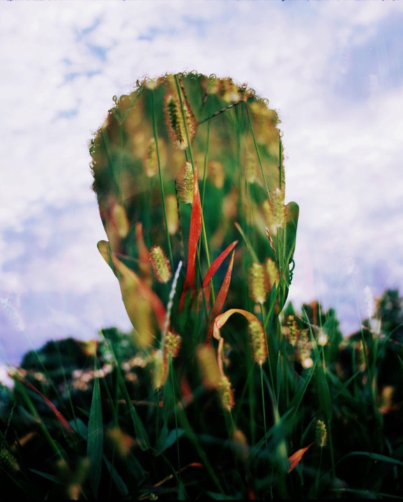 A double exposure shows a person's head filled with grass and red leaves against a cloudy sky.