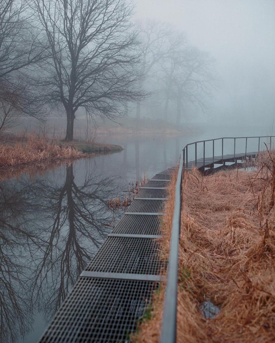 A metal walkway with a railing runs alongside a pond with bare trees and dry grass on a foggy day.