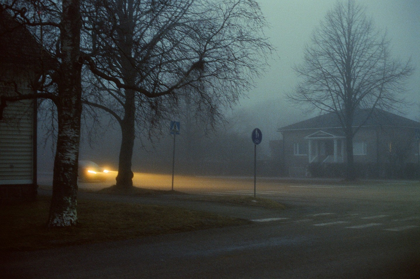 A car with its headlights on drives through a foggy street at dusk, with bare trees and houses visible in the background.
