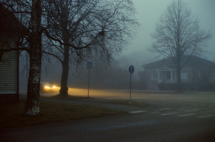 A car with its headlights on drives through a foggy street at dusk, with bare trees and houses visible in the background.