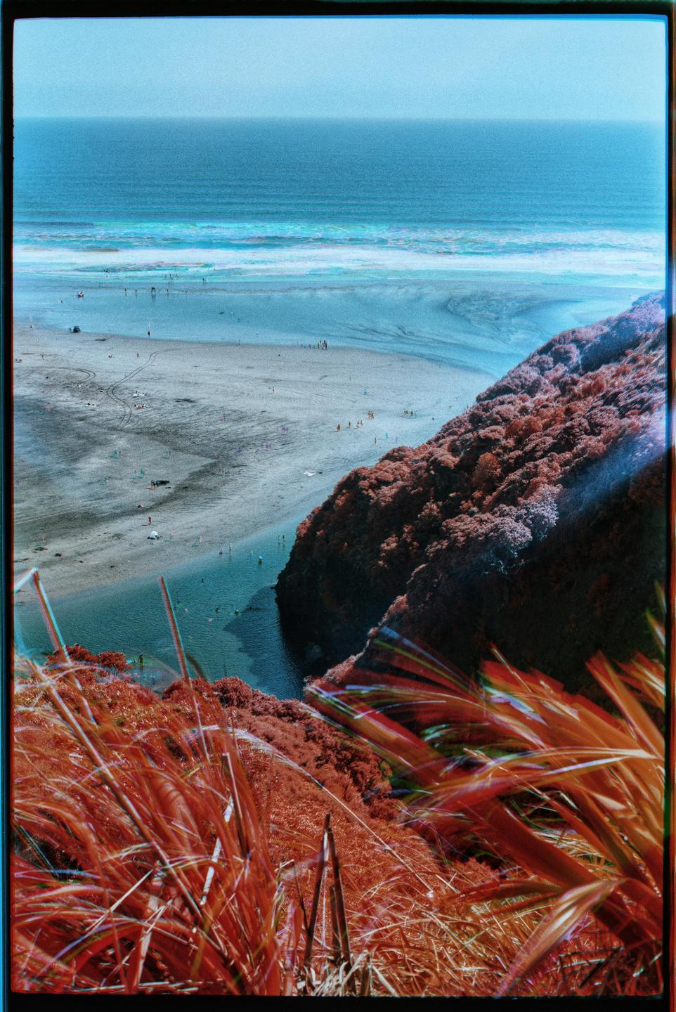 A beach with people and a body of water is visible from a high vantage point with red foliage in the foreground.