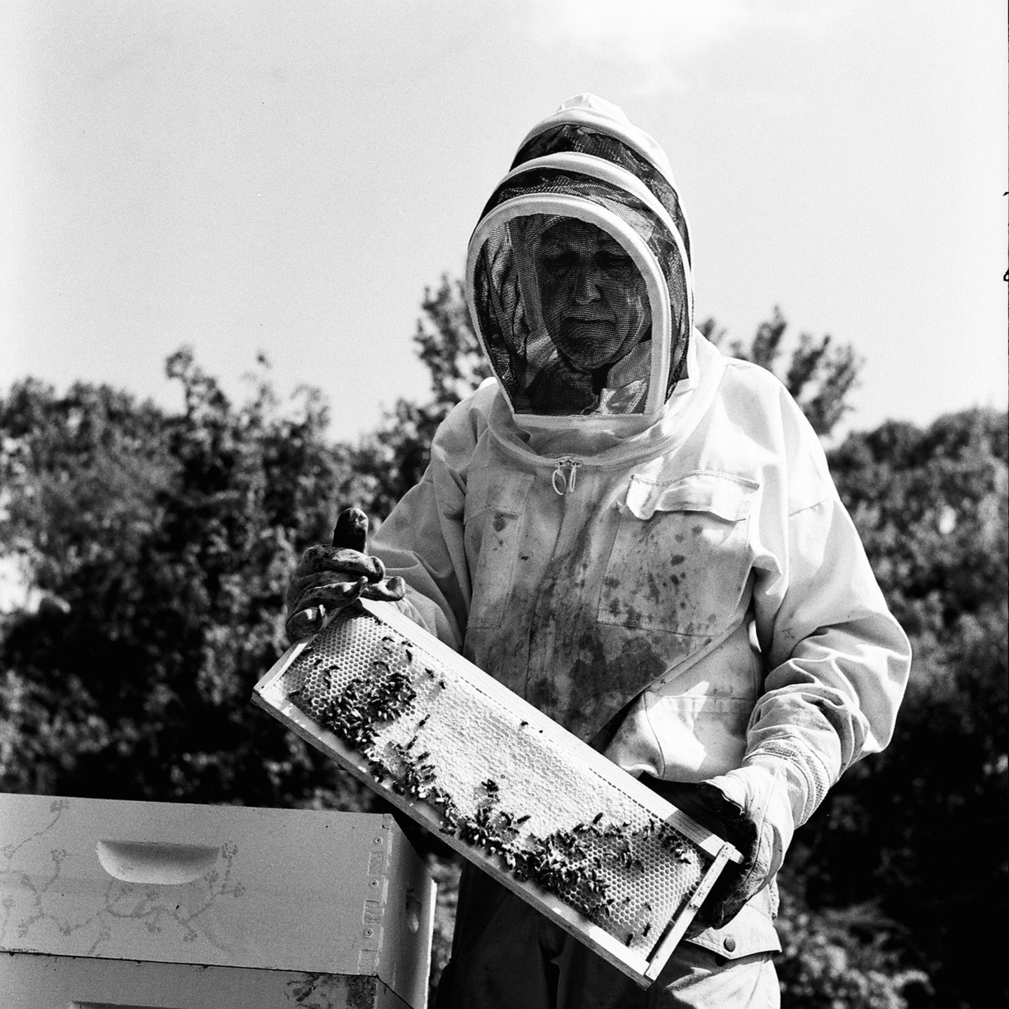 A beekeeper in protective gear holds a frame covered in bees and honeycomb.