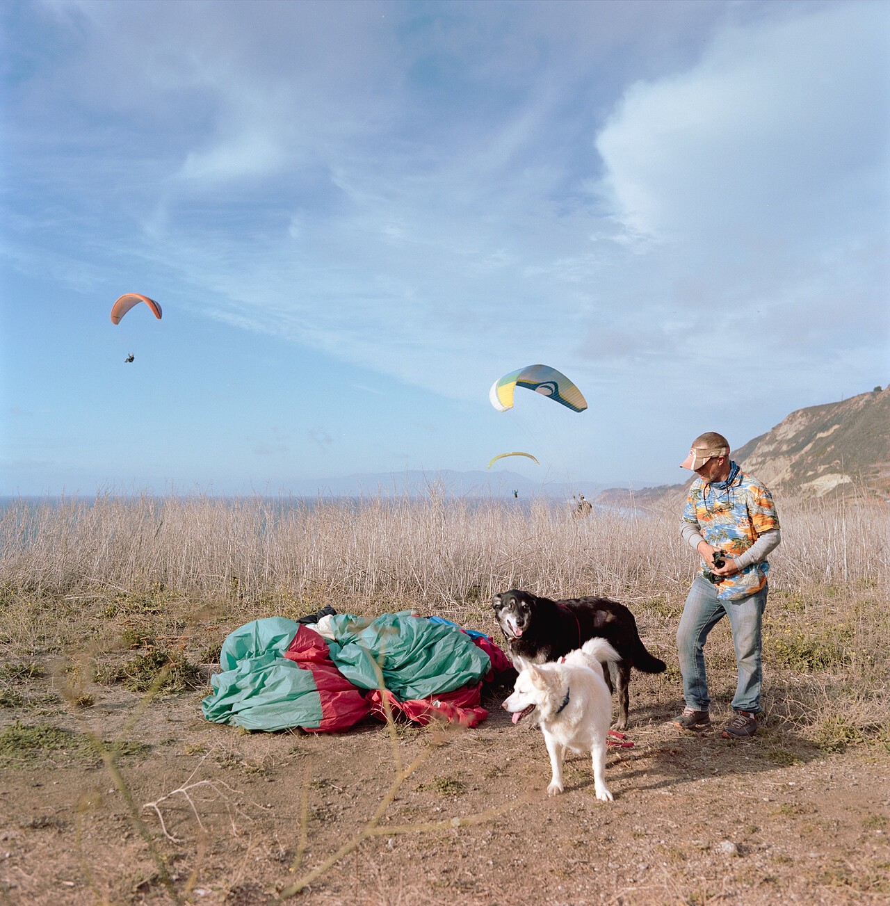 A man and two dogs stand on a grassy cliff overlooking the ocean, with paragliders in the sky.