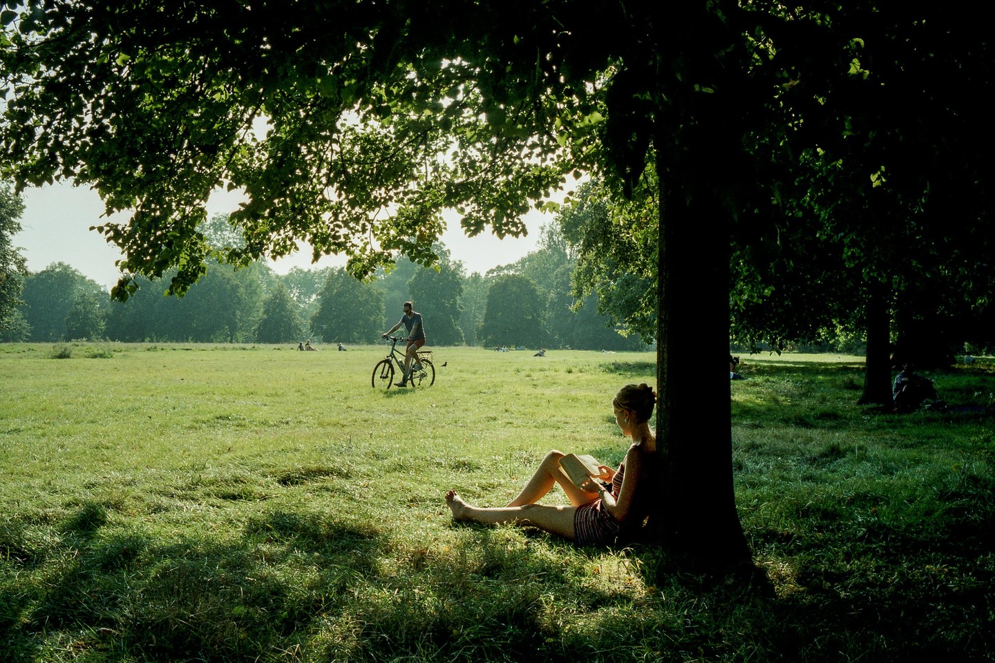 A woman reads a book under a tree while a man rides a bicycle in a grassy field.