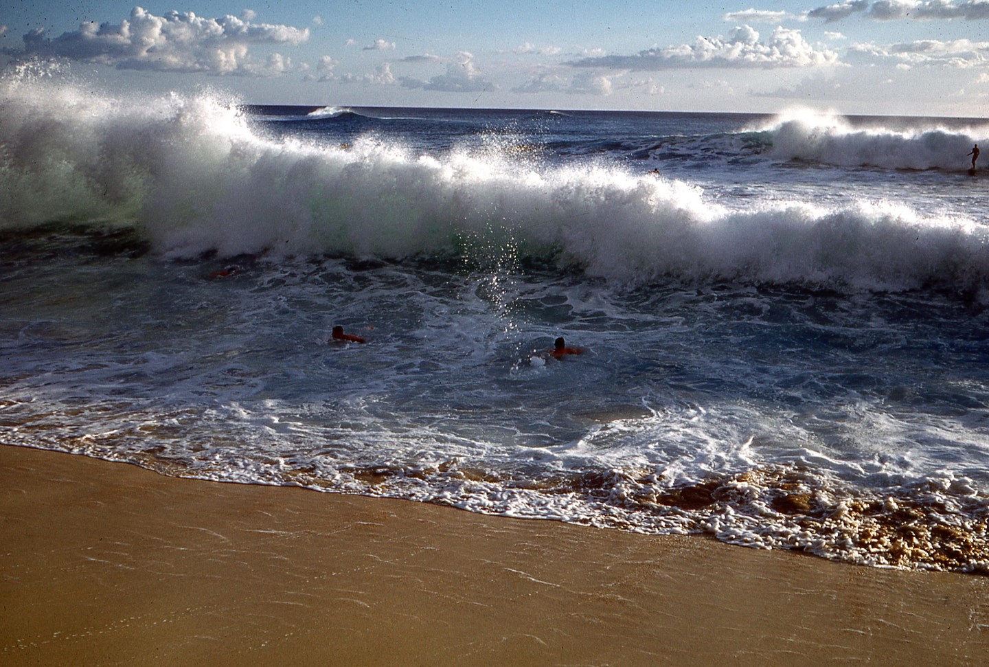 Two people swim in the ocean as a large wave breaks near the shore.