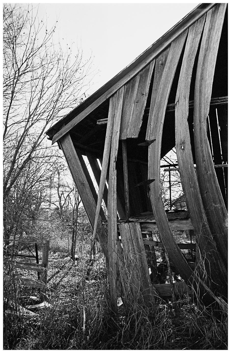 A dilapidated wooden structure with a collapsing roof and walls stands amidst overgrown vegetation and bare trees.