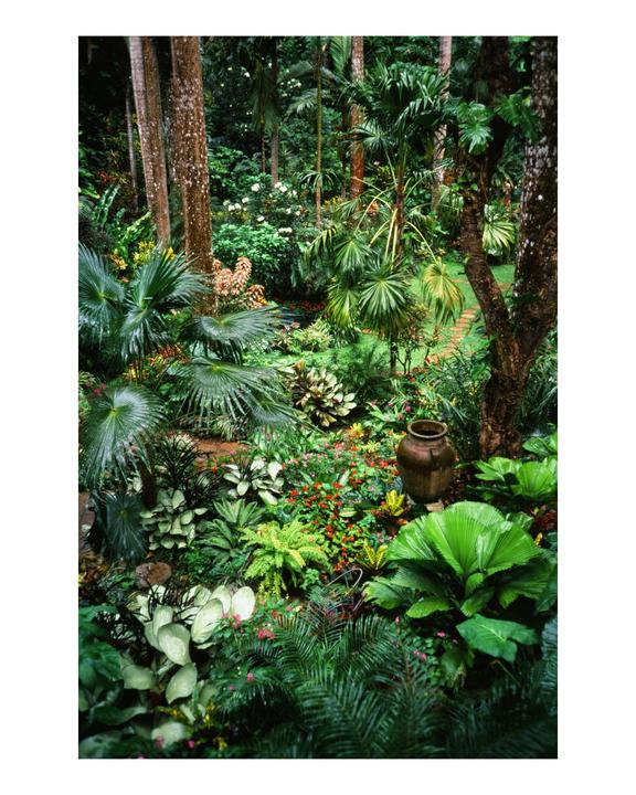 A lush tropical garden with various plants and trees features a large ceramic pot on the right.