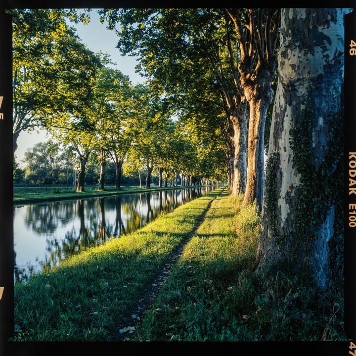 A tree-lined river with reflections in the water is illuminated by golden hour light.