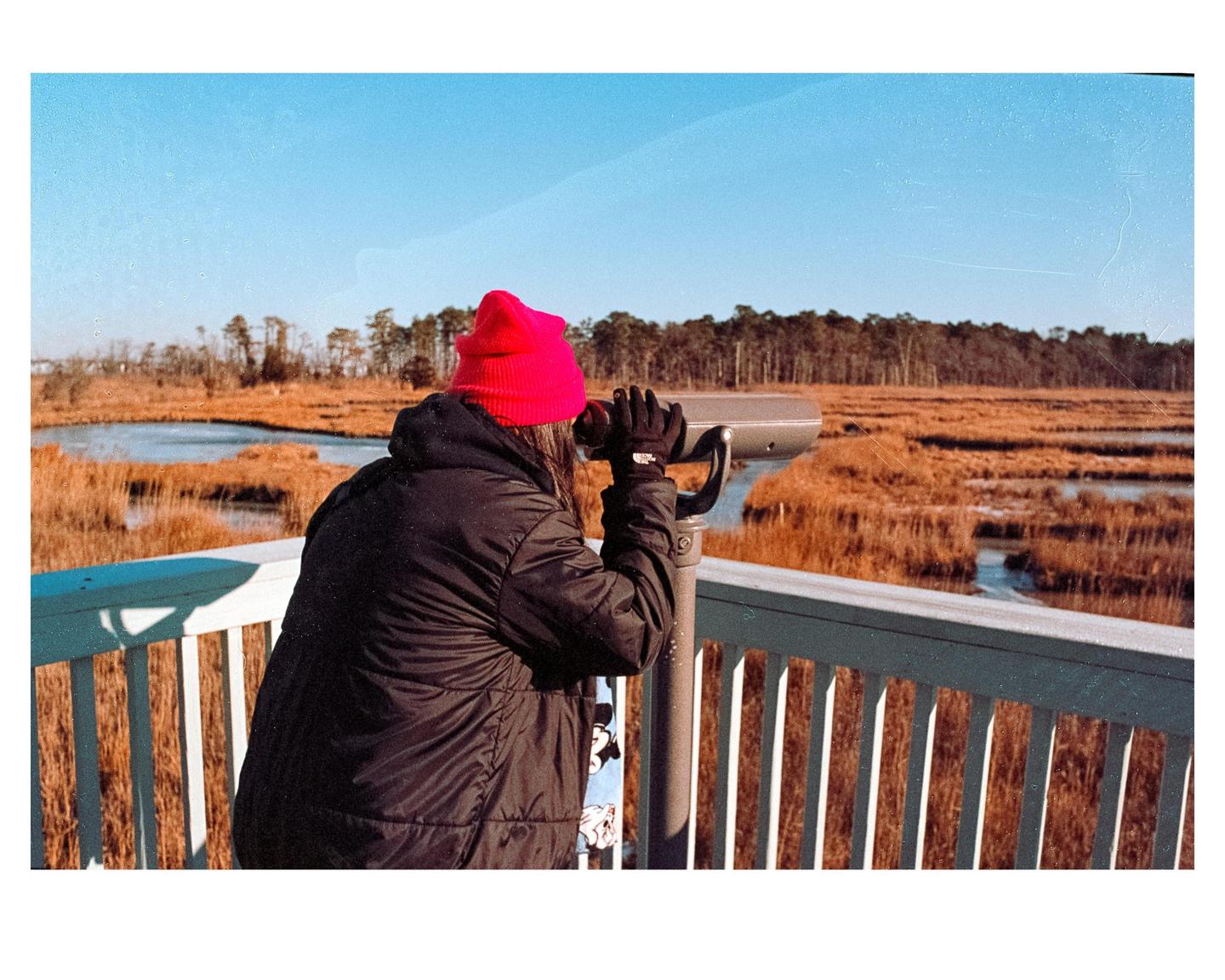 A person in a red hat and black jacket looks through a coin-operated binocular viewer at a marsh.