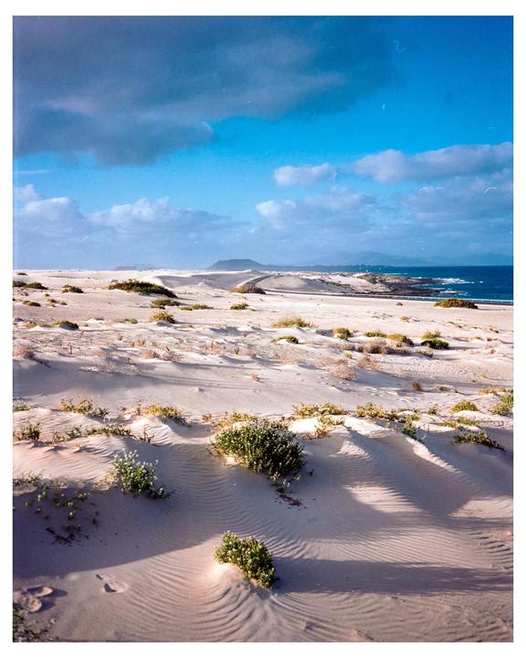 A vast expanse of sand dunes with sparse vegetation stretches towards the ocean under a partly cloudy sky.