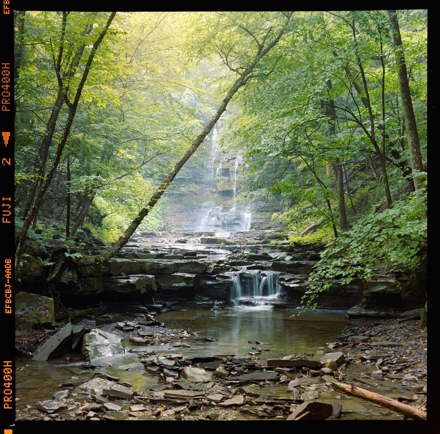 A waterfall cascades over rocks into a stream surrounded by lush green trees.