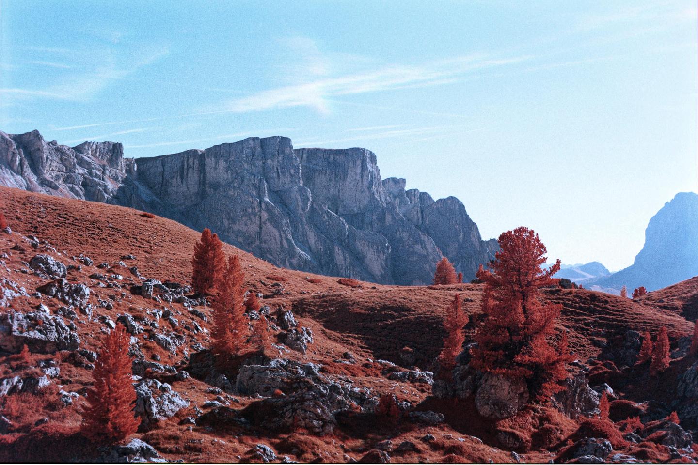 A mountain landscape shows red trees and red grass on a hillside with a large rock face in the background.