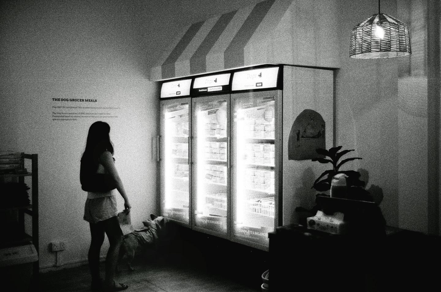 A woman and a dog stand in front of three brightly lit refrigerators in a store.