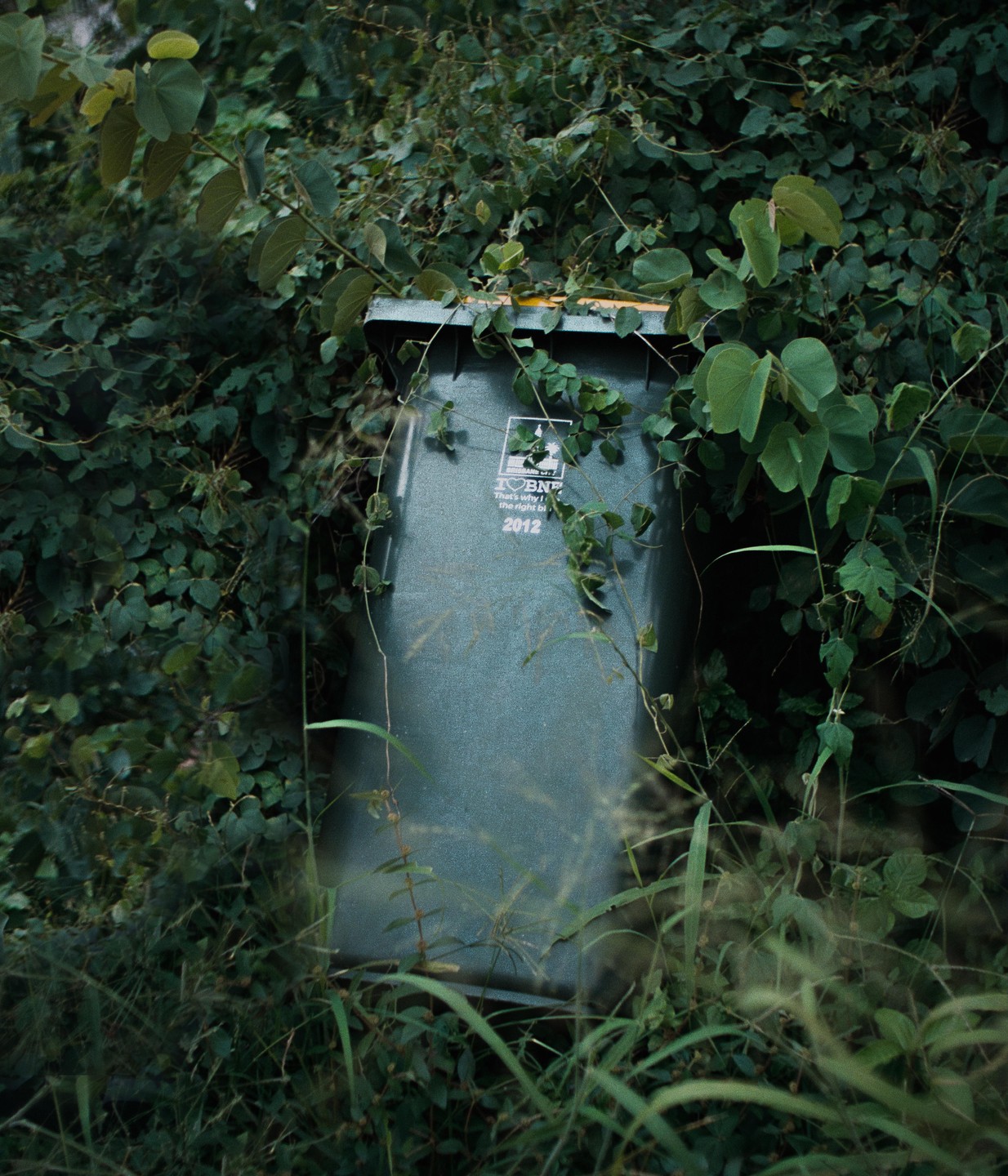 A green trash can is partially obscured by overgrown green foliage.