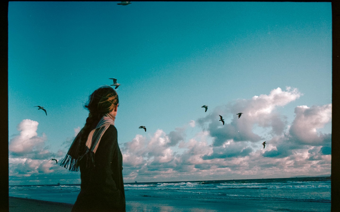 A woman stands on a beach looking out at the ocean with birds flying overhead.