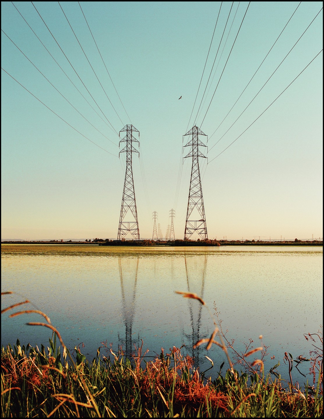 Power lines stretch across a body of water with tall grass in the foreground.