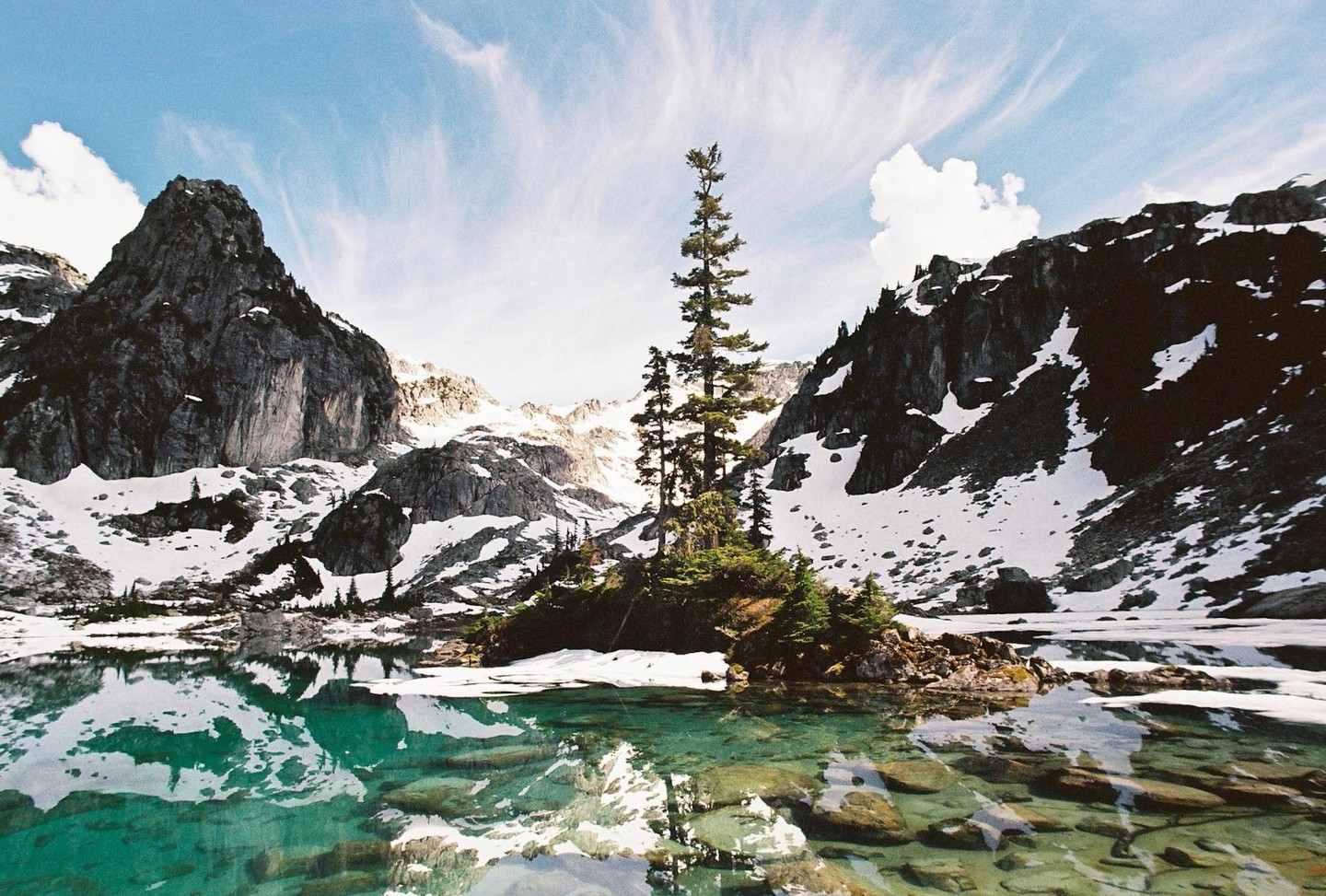A tall pine tree stands on a small island in a clear lake surrounded by snow-covered mountains.