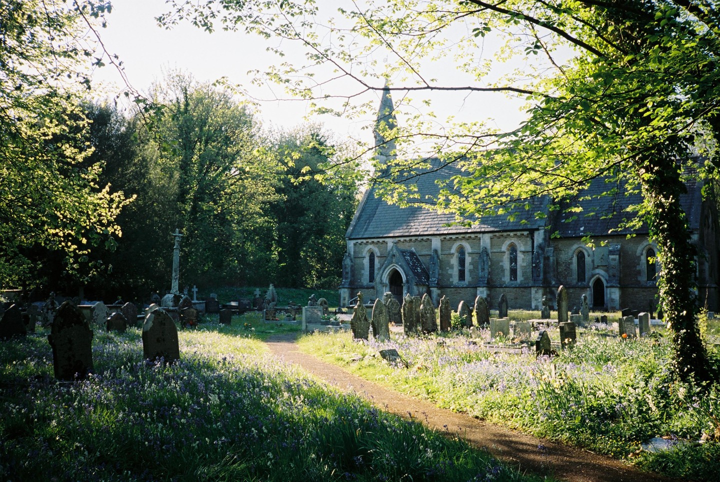 A path leads through a sunlit churchyard with gravestones and bluebells towards a stone church with a steeple.