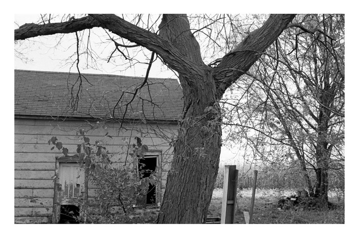 A large tree with bare branches stands in front of an abandoned house with a broken window and peeling paint.
