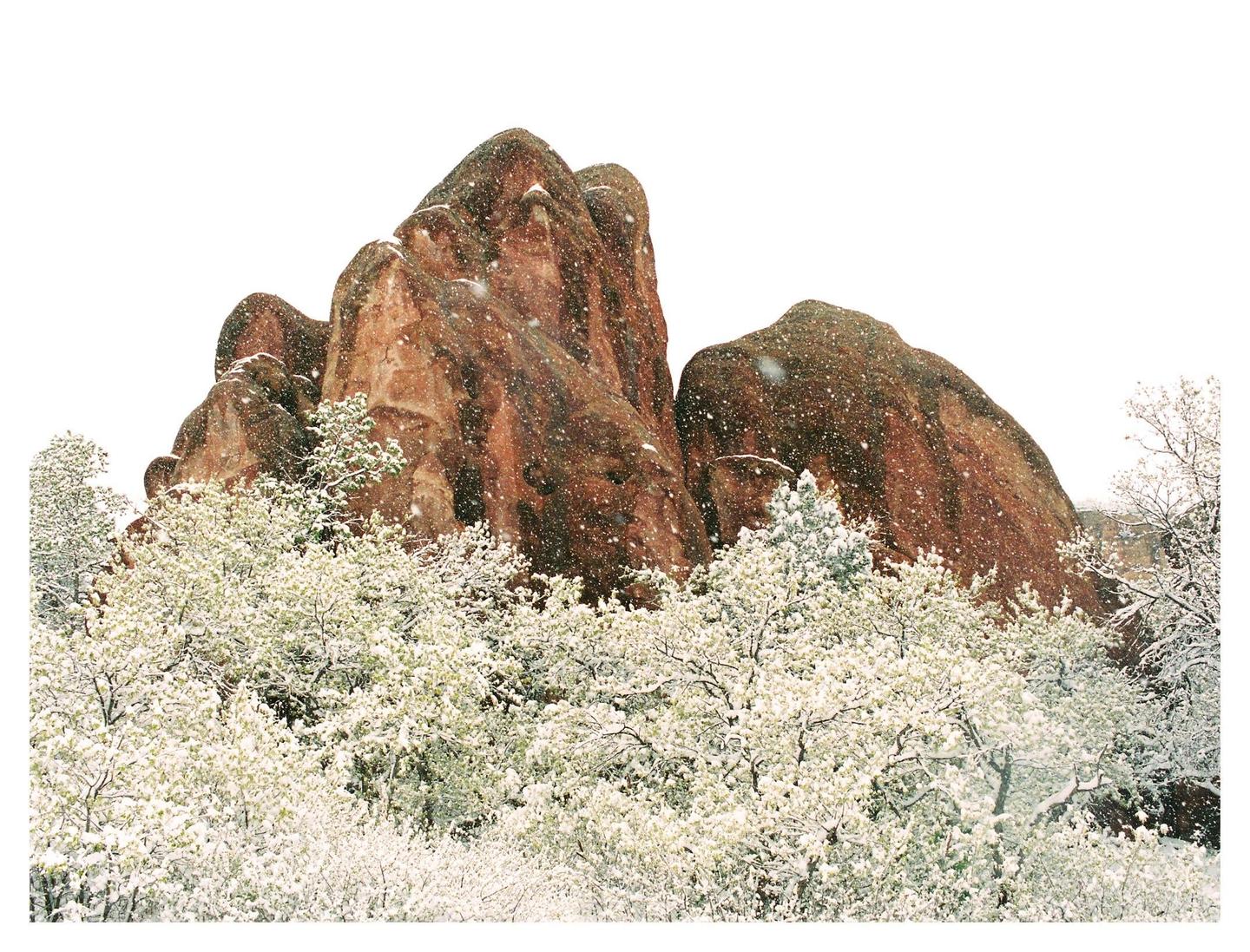Snow falls on red rock formations and white blossoming trees.