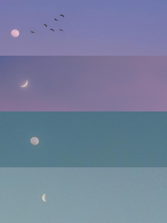 Four panels show the moon in different phases and colors, with birds flying in the top panel.