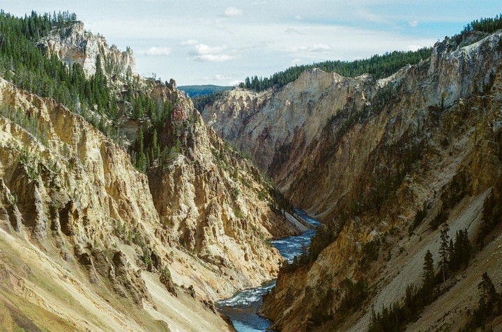 A river flows through a deep canyon with steep, rocky walls and scattered pine trees.