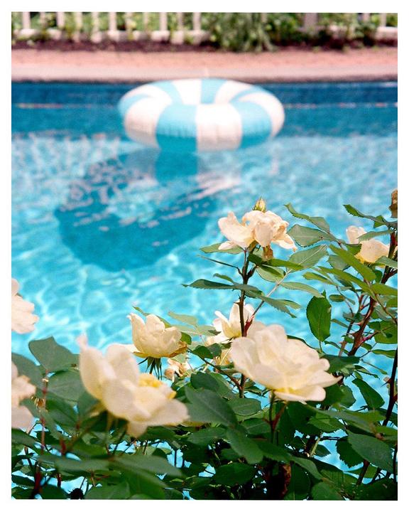A blue and white inflatable ring floats in a swimming pool, with white roses in the foreground.