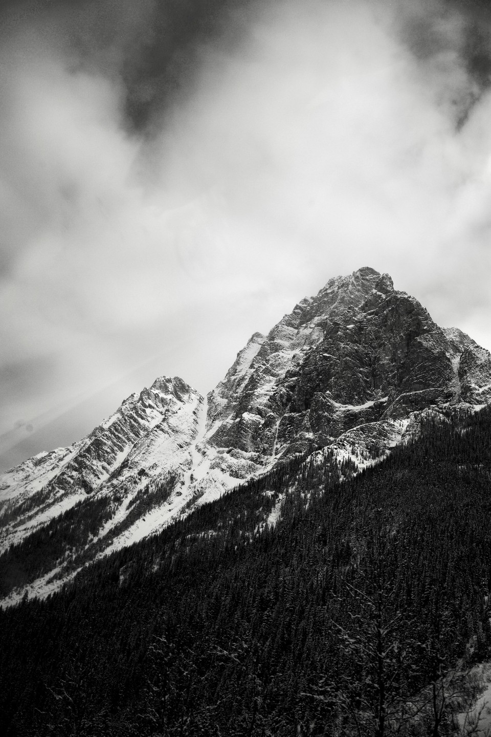 A snow-covered mountain peak rises above a dense forest under a cloudy sky.