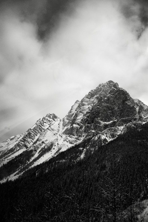 A snow-covered mountain peak rises above a dense forest under a cloudy sky.
