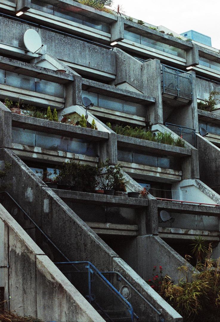 Brutalism in London // Canon FTb // Cinestill 800T, shot on CANON FTB