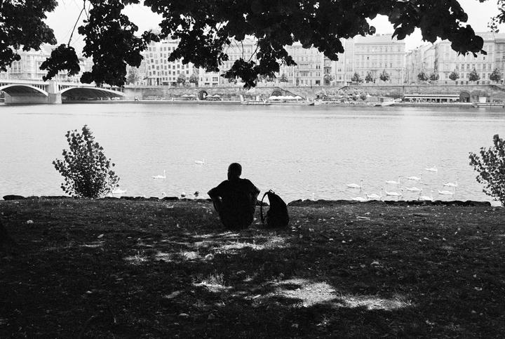 A person sits on a grassy bank overlooking a river with swans, a bridge, and buildings in the distance.