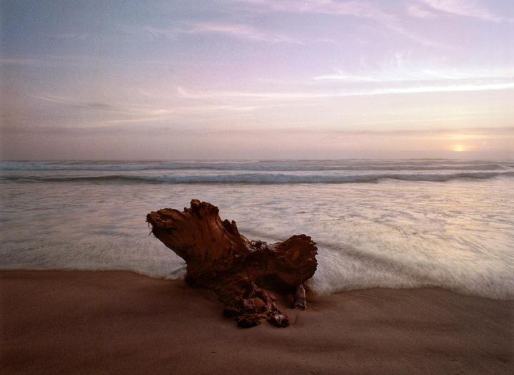 A piece of driftwood rests on a sandy beach as waves roll in under a sunset sky.