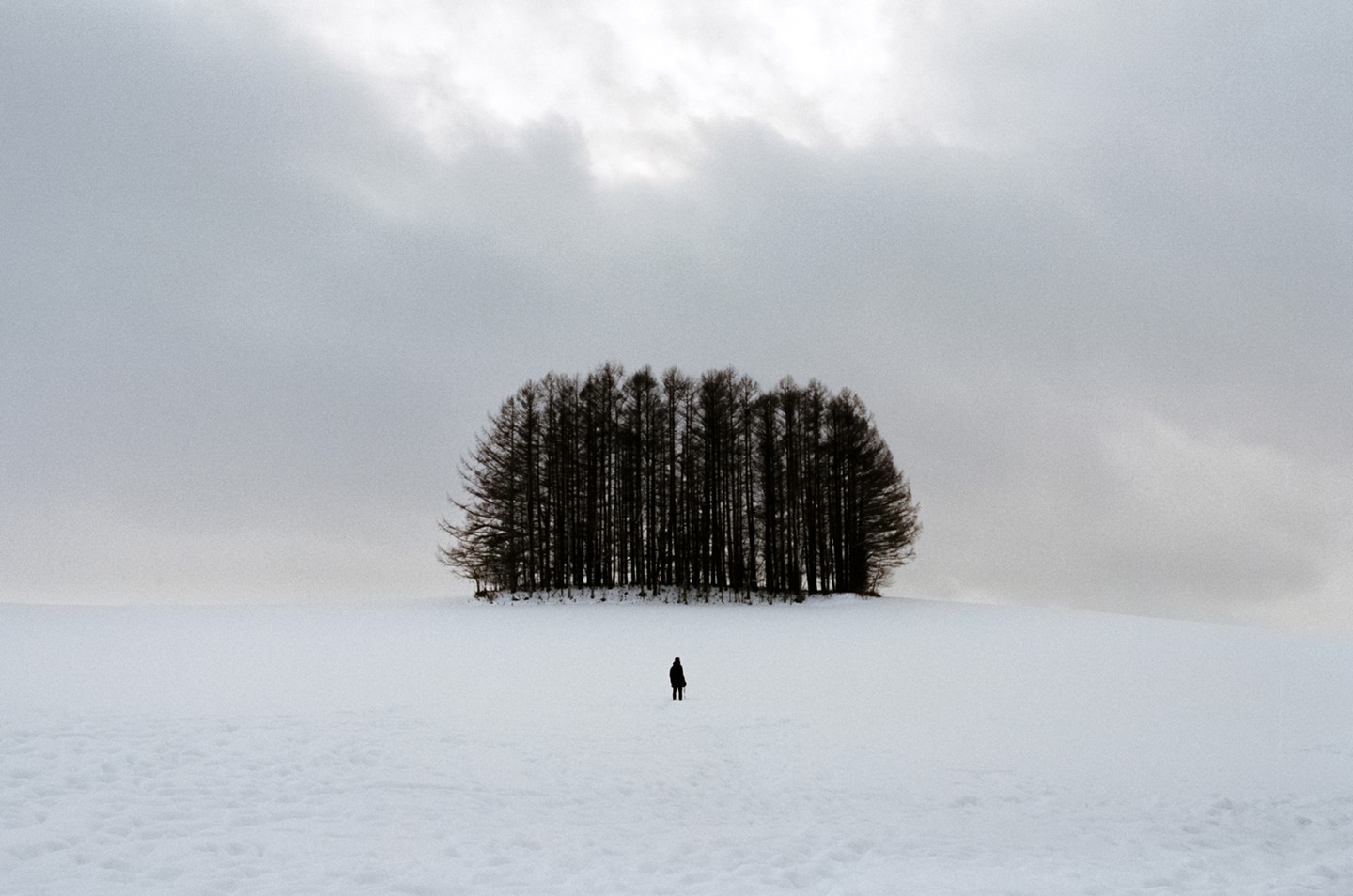 A person stands in a vast snow-covered field with a cluster of dark trees in the background under a cloudy sky.