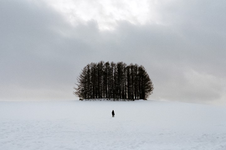 A person stands in a vast snow-covered field with a cluster of dark trees in the background under a cloudy sky.