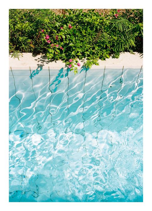 A swimming pool with blue water and green plants with pink flowers along the edge.