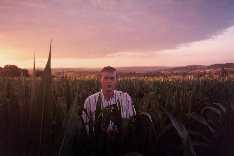 A man stands in a field of tall crops under a dramatic sunset sky.