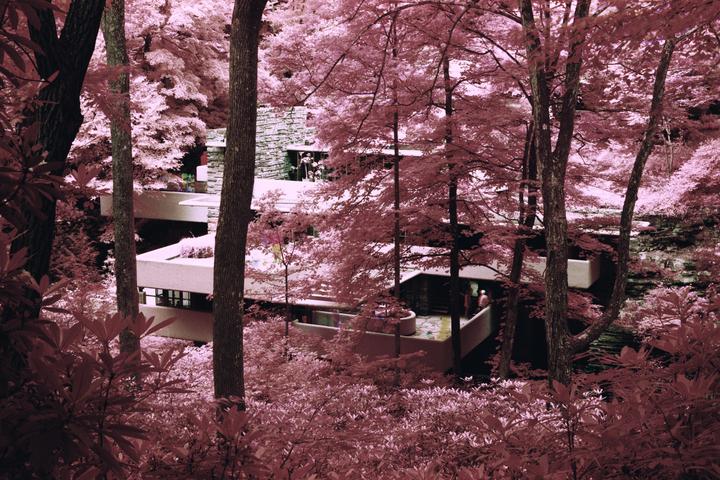 A house with multiple levels and balconies is nestled among trees with pink foliage.