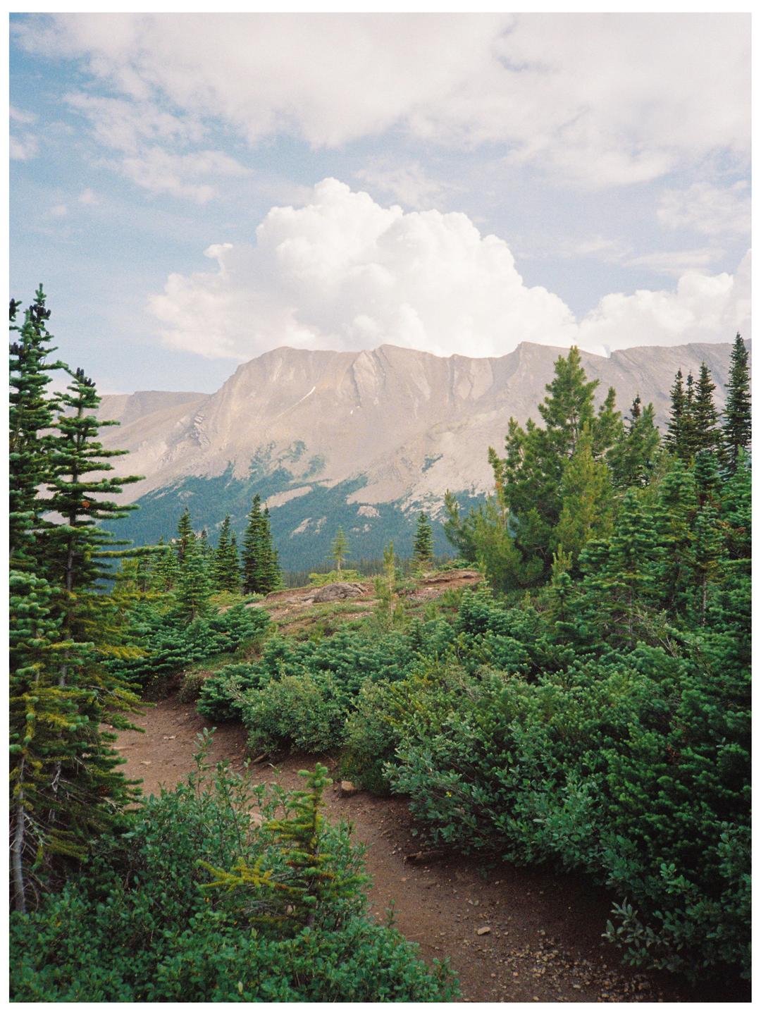 A dirt path winds through green bushes and pine trees with a large mountain range and cloudy sky in the background.
