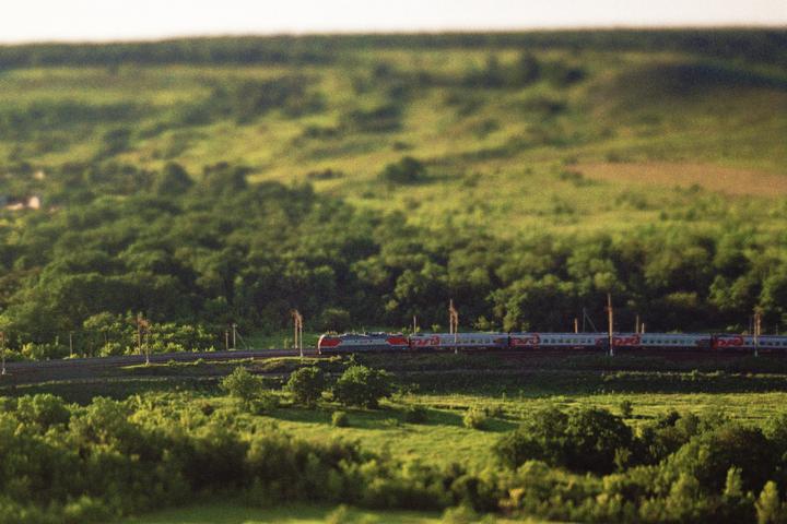 A train travels through a lush green landscape with trees and fields under a bright sky.