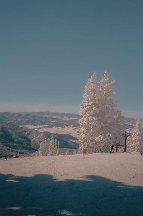 A skier stands on a snowy mountain slope with snow-covered trees and distant mountains under a clear sky.
