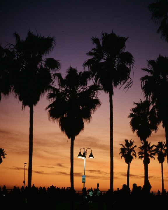 Palm trees and people are silhouetted against a colorful sunset sky at Venice Beach.