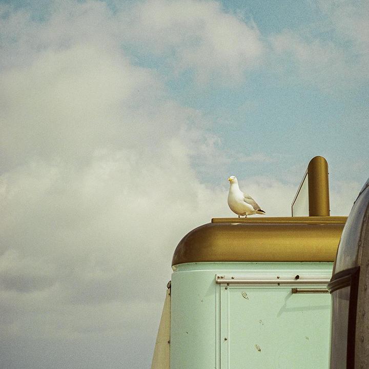 A seagull stands on the roof of a light blue and gold vehicle under a cloudy sky.
