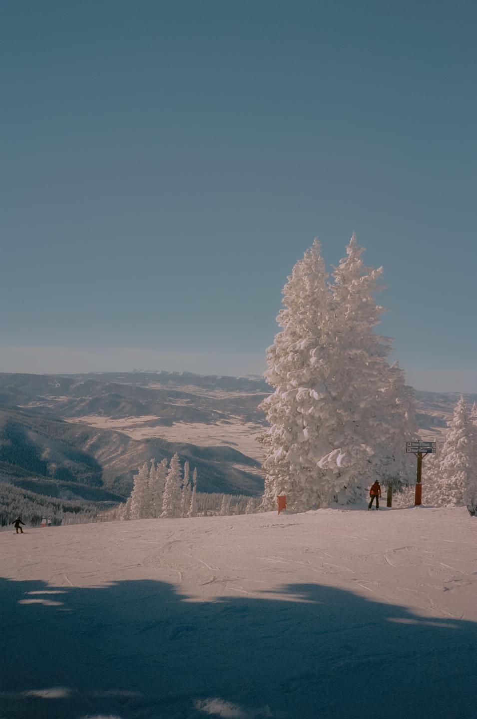 A skier stands on a snowy mountain slope with snow-covered trees and distant mountains under a clear sky.