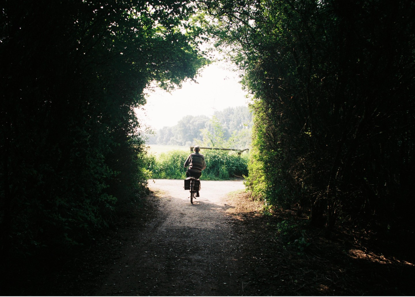 A man rides a bicycle down a path lined with tall hedges, towards a bright field.