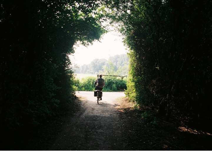 A man rides a bicycle down a path lined with tall hedges, towards a bright field.