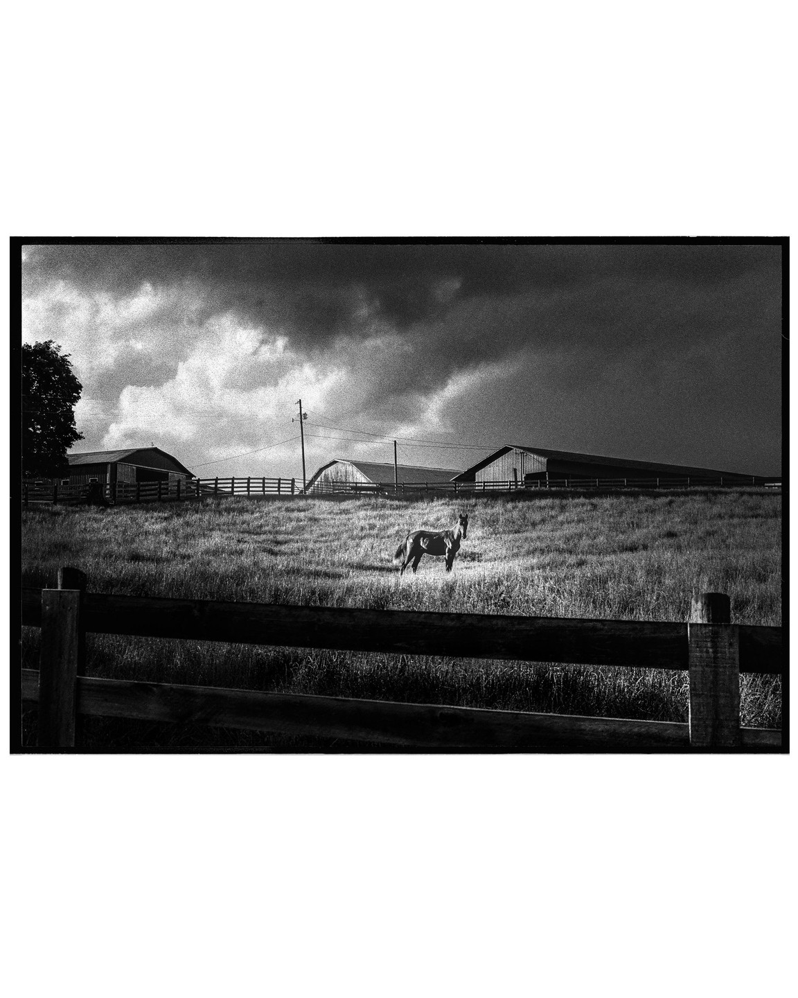 A horse stands in a grassy field with barns and a fence under a dramatic, cloudy sky.