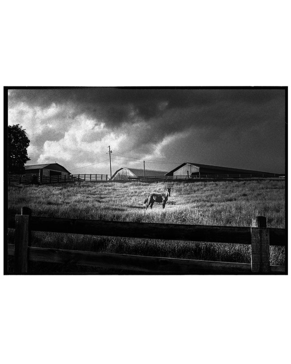 A horse stands in a grassy field with barns and a fence under a dramatic, cloudy sky.