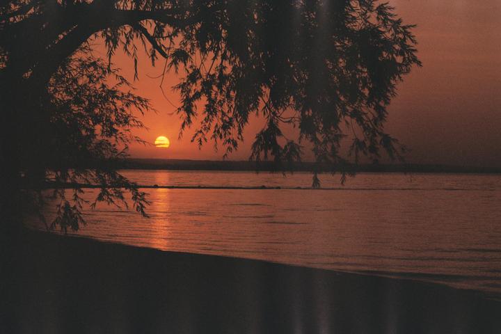 The sun sets over a body of water, with silhouetted tree branches framing the top of the image.